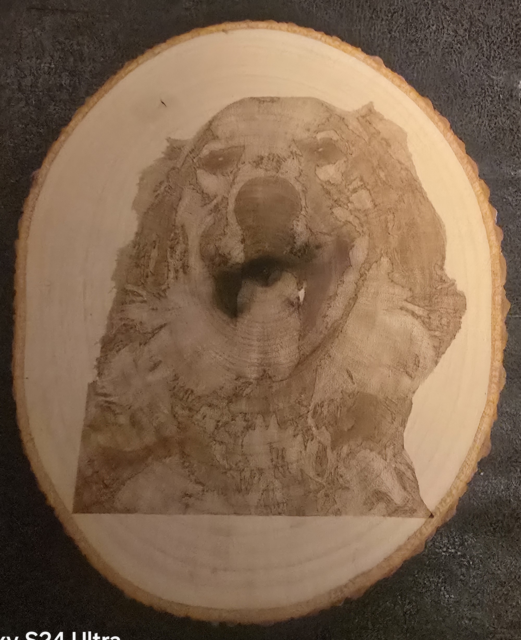 D and D Pawfect Prints featured image