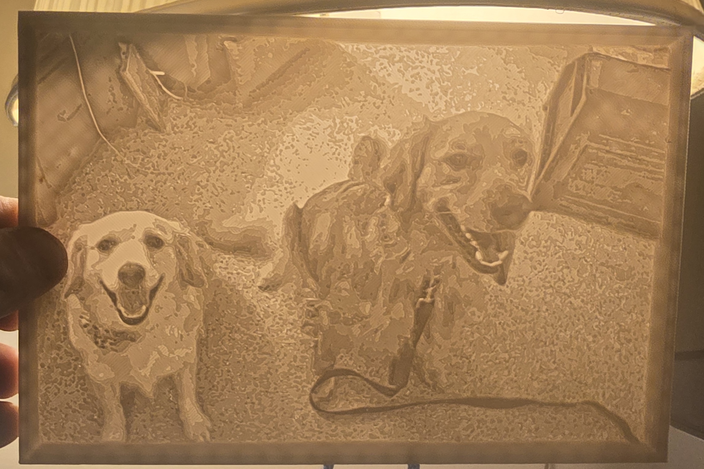 D and D Pawfect Prints gallery thumbnail 5