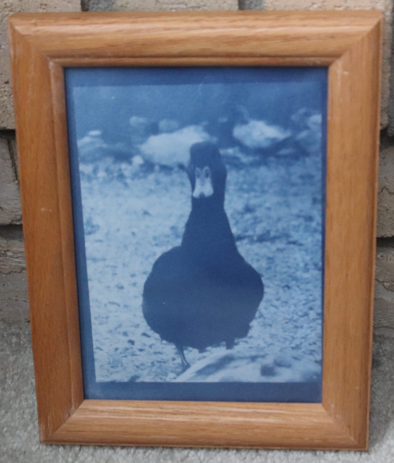 Process and Distortion sample