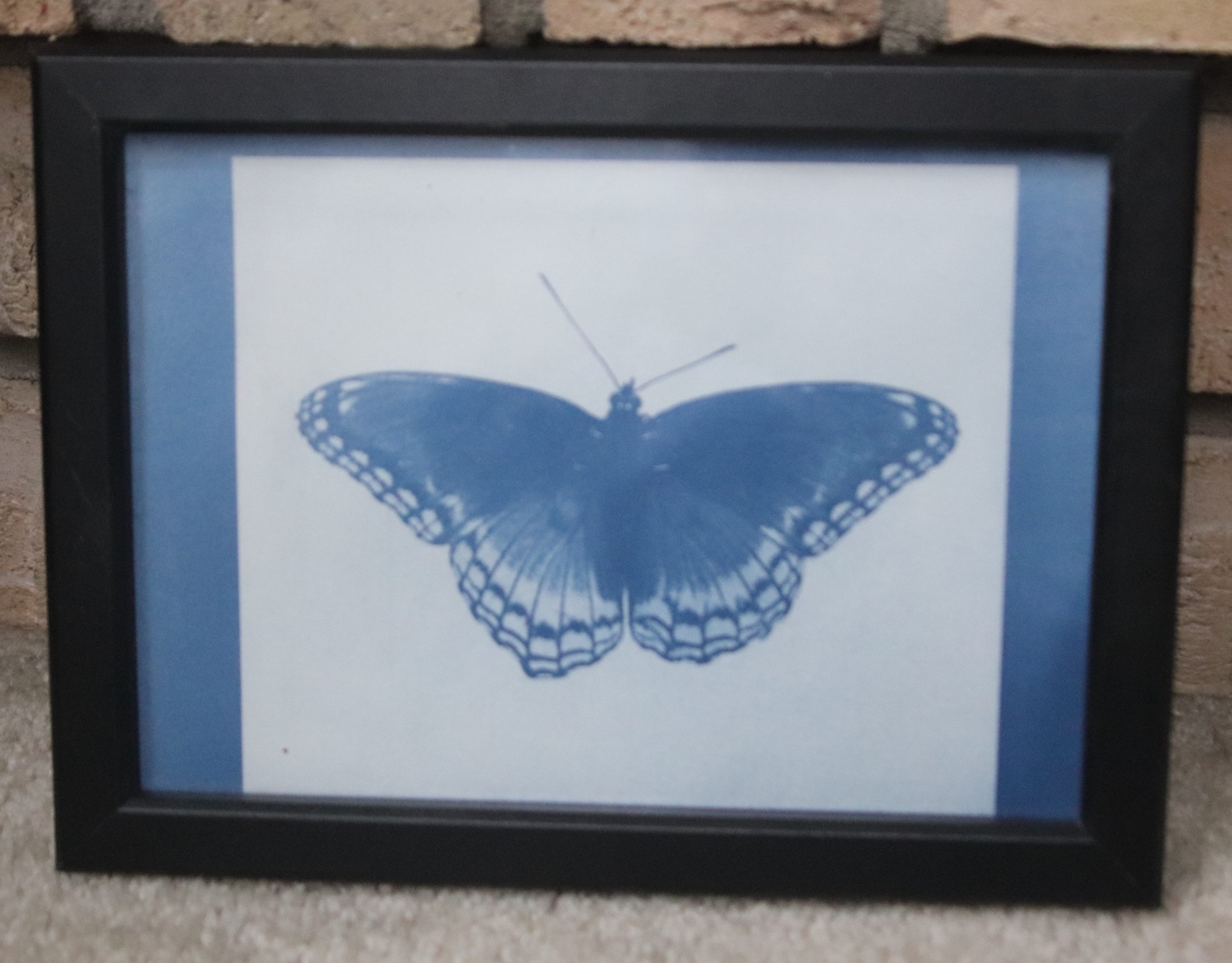 Process and Distortion sample