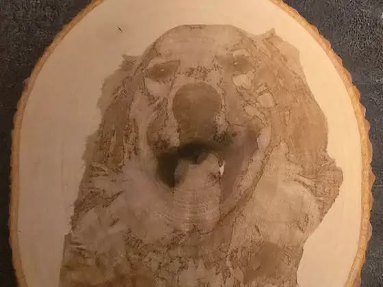 D and D Pawfect Prints image 1