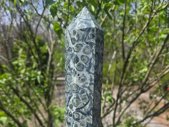 Celestial Garden image 1