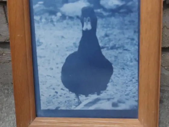 Process and Distortion image 1