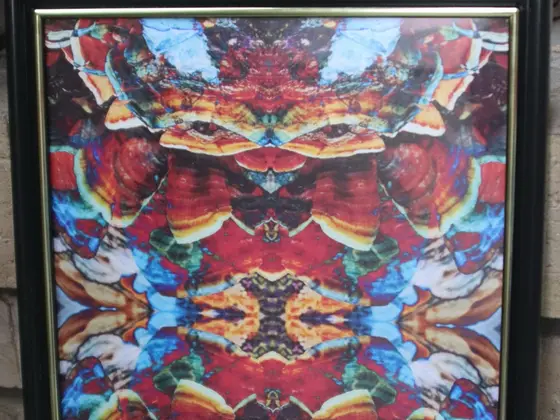 Process and Distortion image 2